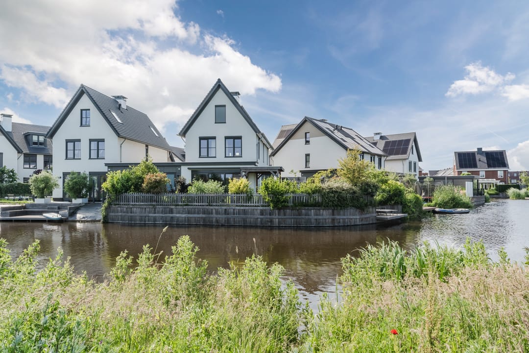 Foto 58 van Allium 8