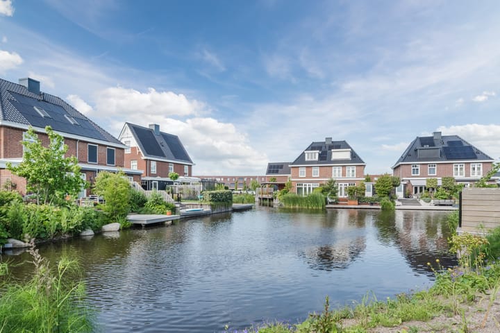 Foto 59 van Allium 8