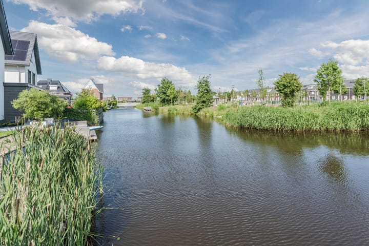 Foto 60 van Allium 8