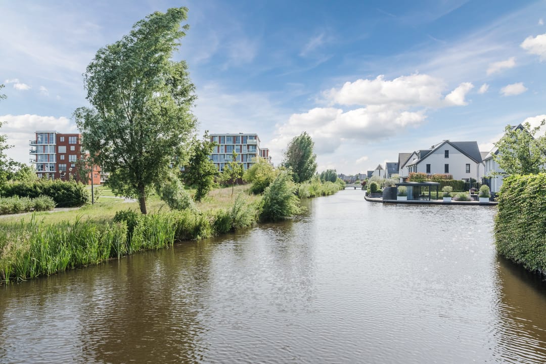 Foto 61 van Allium 8