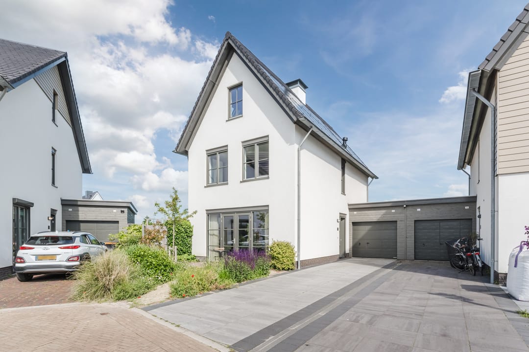 Foto 62 van Allium 8