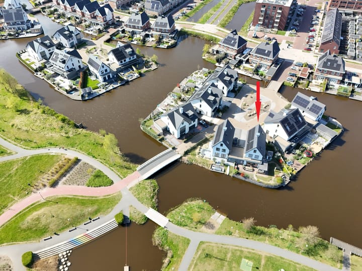 Foto 63 van Allium 8