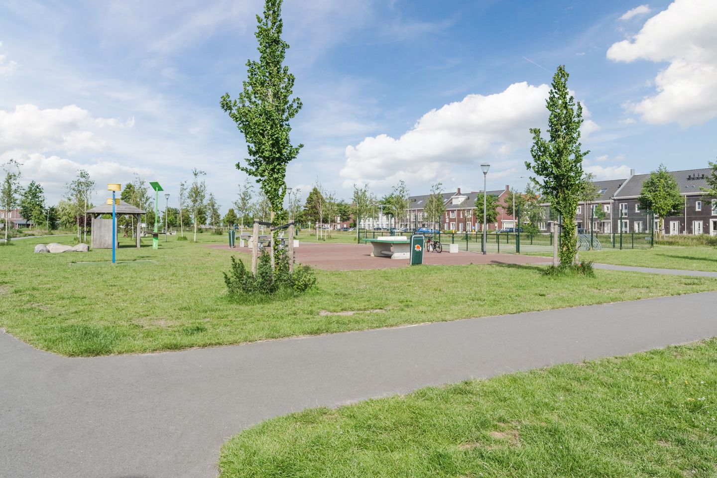 Foto 64 van Allium 8