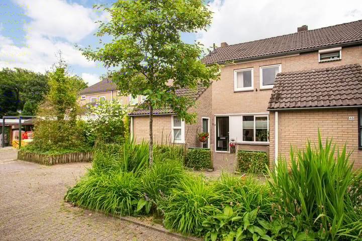 Foto 30 van Sweelinckstraat 50