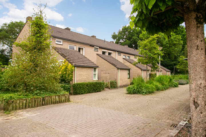 Foto 31 van Sweelinckstraat 50