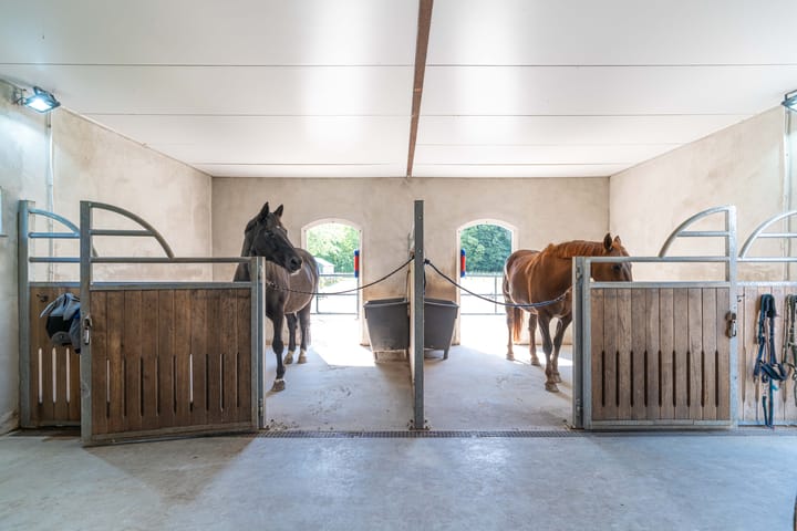 Photo 51 of Oostvlietweg 29