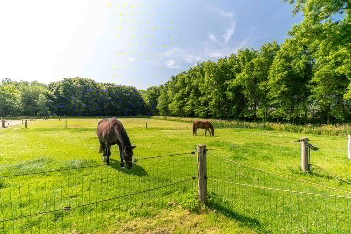 Photo 68 of Oostvlietweg 29