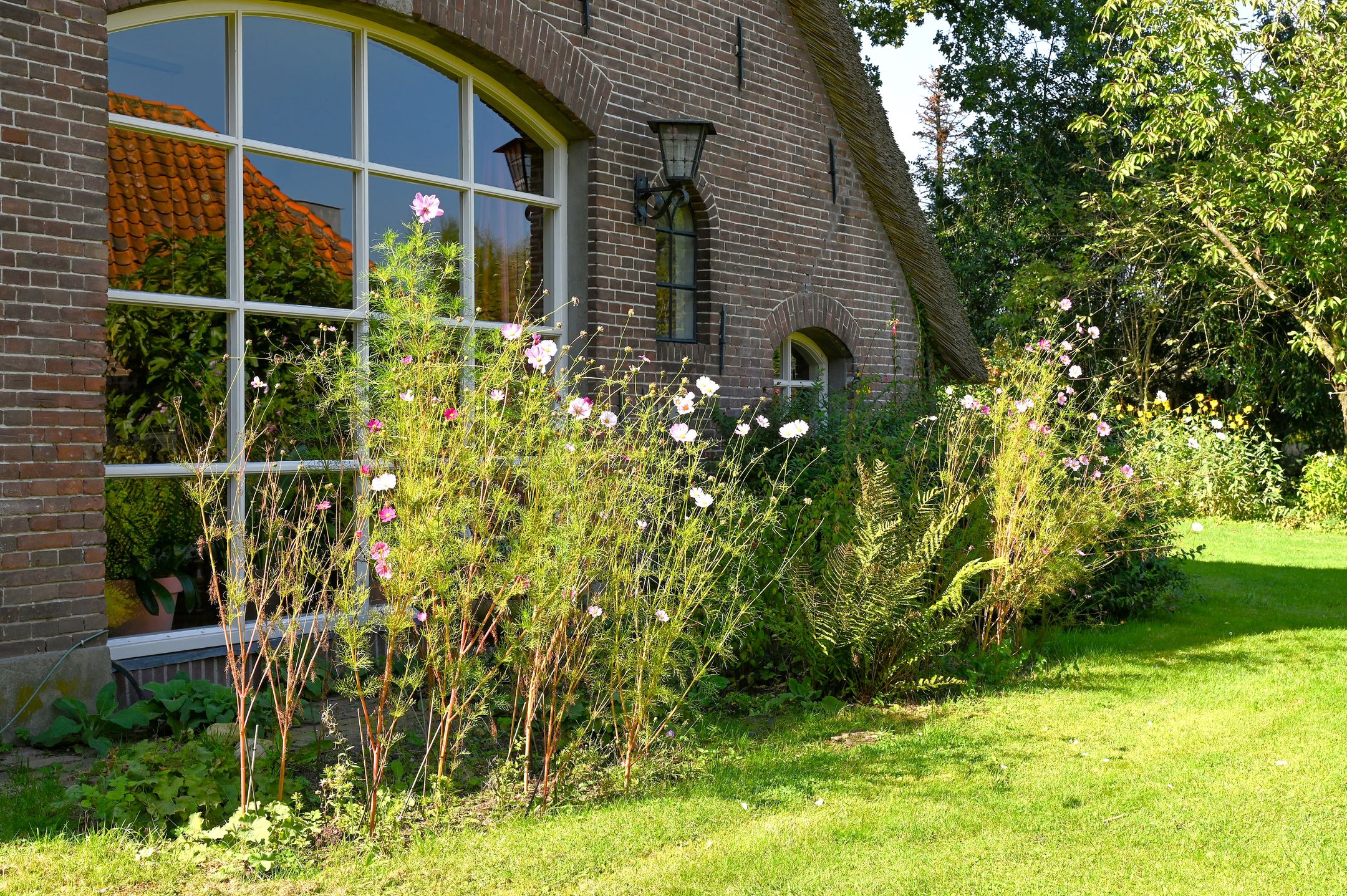 Foto 18 van Broekerweg 13