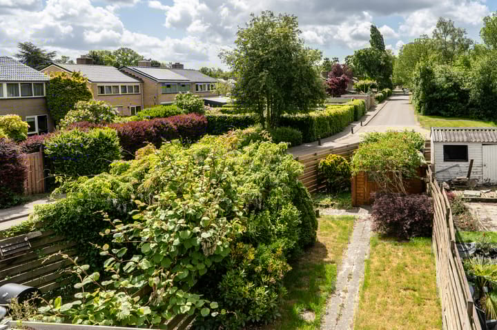 Foto 25 van Wiemers 8