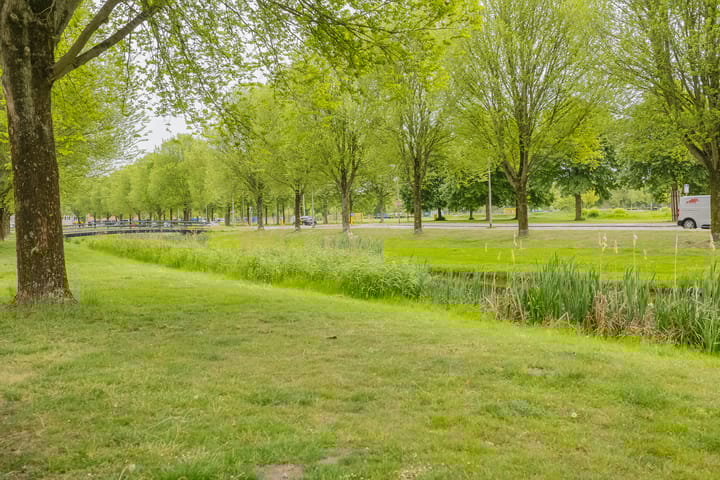 Foto 3 van Spanjesingel 82