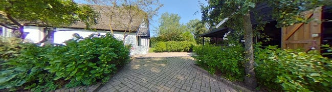 Achtertuin