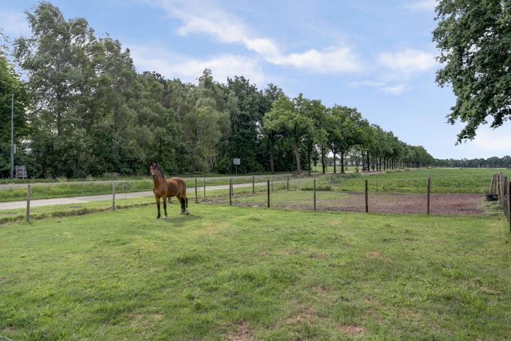 Photo 60 of Broekenseind 2