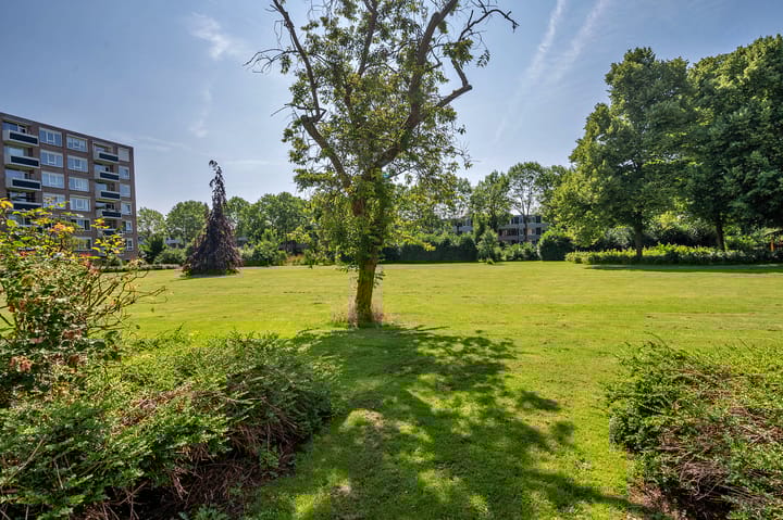 Foto 31 van Albert Cuypstraat 126