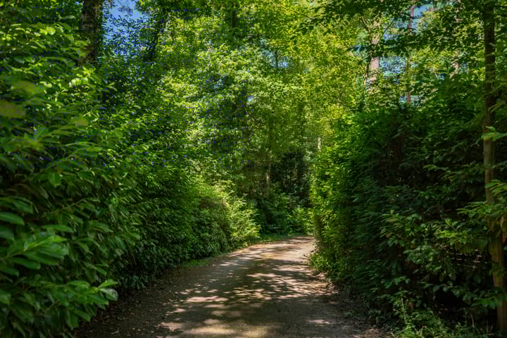 Foto 28 van Dijkmansweg 4-H13