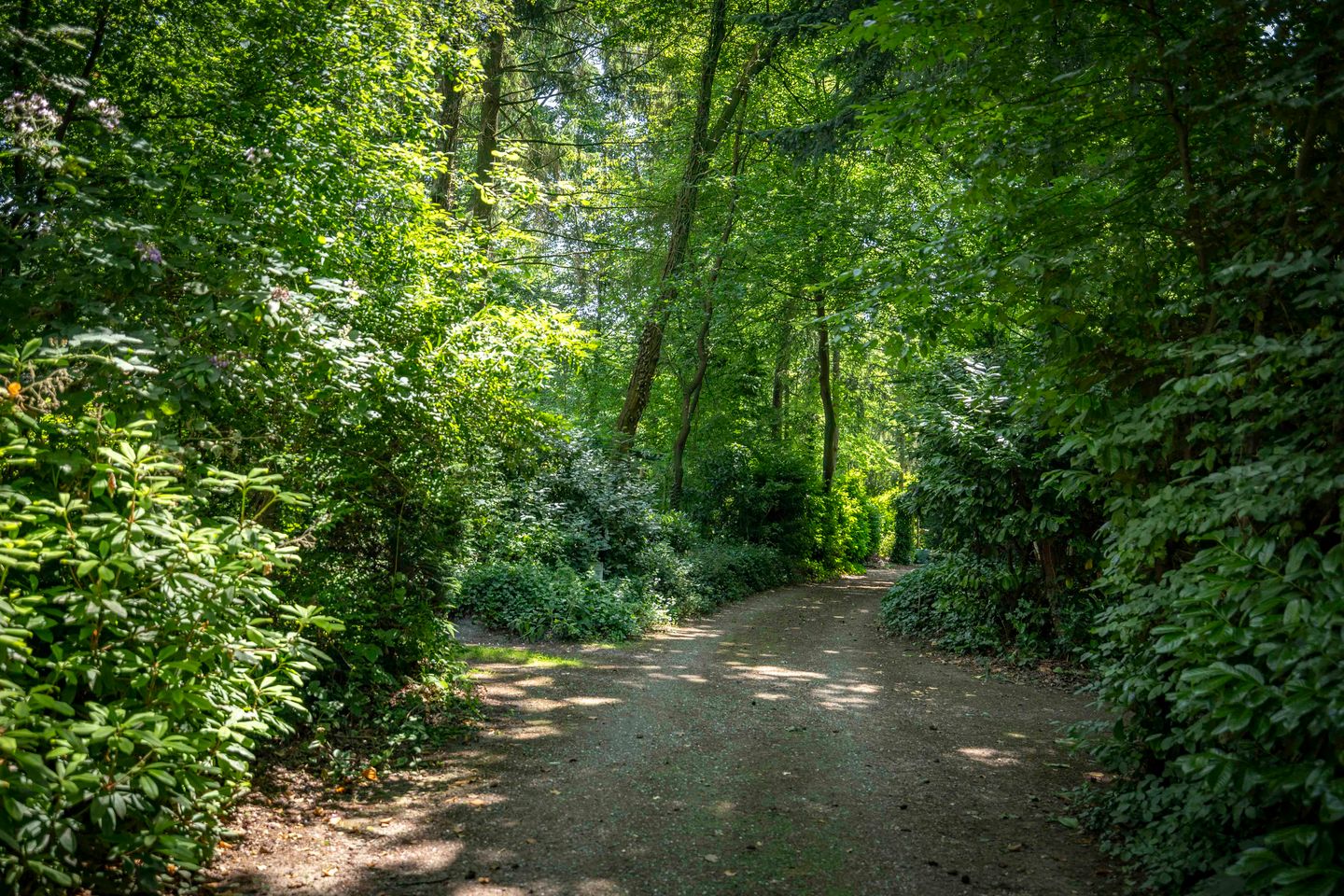 Photo 29 of Dijkmansweg 4-H13