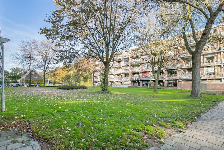 Foto 20 van Witte de Withstraat 81