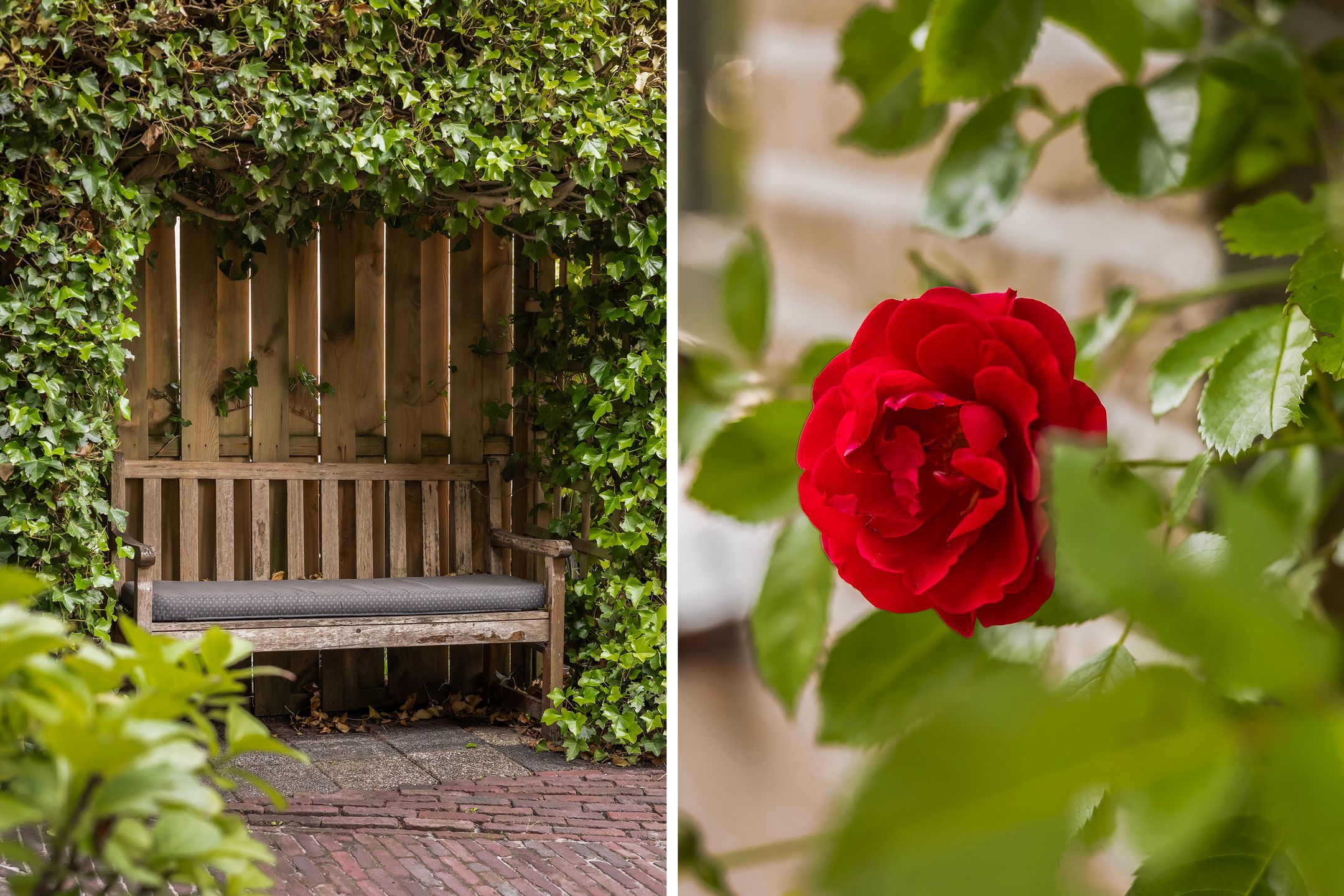 Foto 9 van Idzerdastins 75