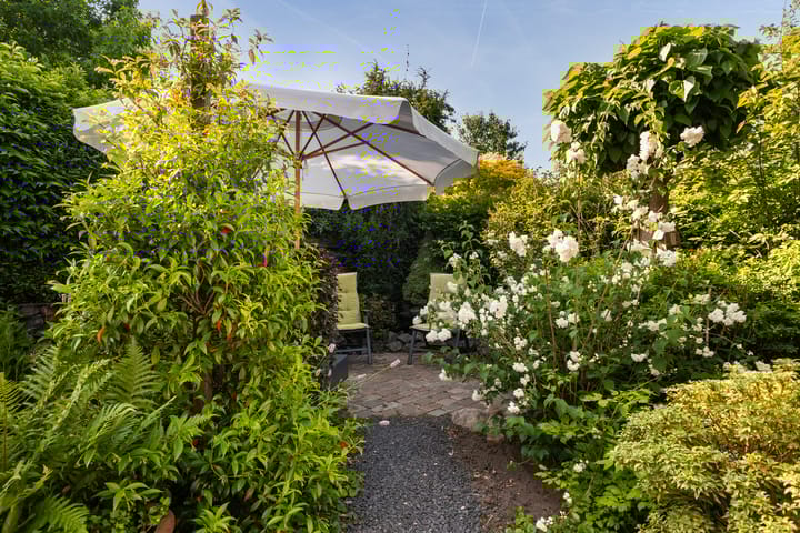 Foto 13 van Idzerdastins 75