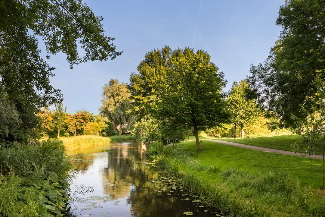 Foto 16 van Idzerdastins 75