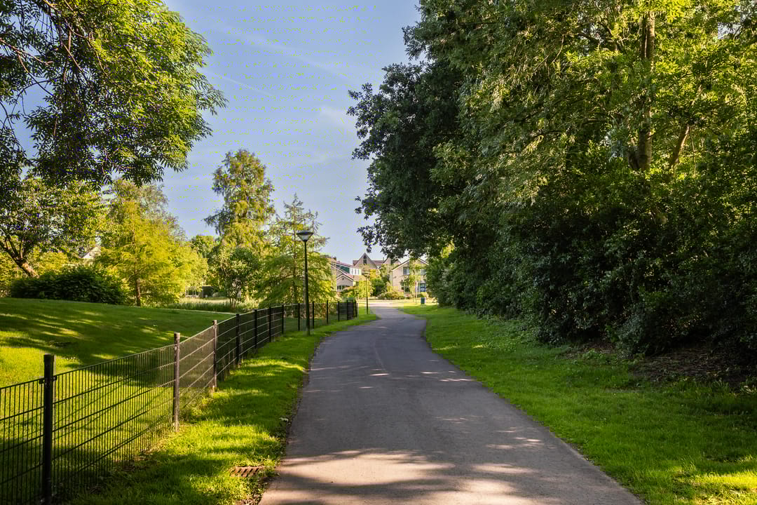 Foto 17 van Idzerdastins 75