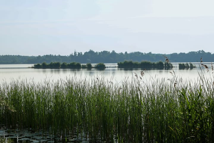 Foto 41 van Horndijk 2-A