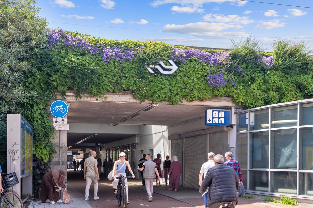 Foto 31 van Minahassastraat 14-C