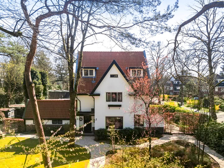 Foto 28 van Obrechtlaan 10