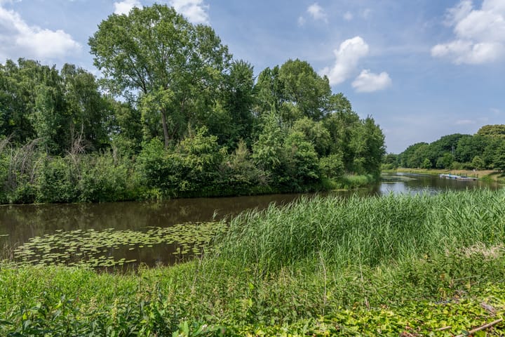 Photo 30 of Willem Alexanderplein 8