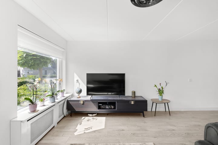 Photo 8 of Dommelrode 3