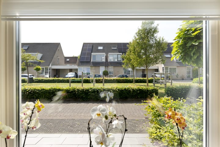 Photo 10 of Dommelrode 3