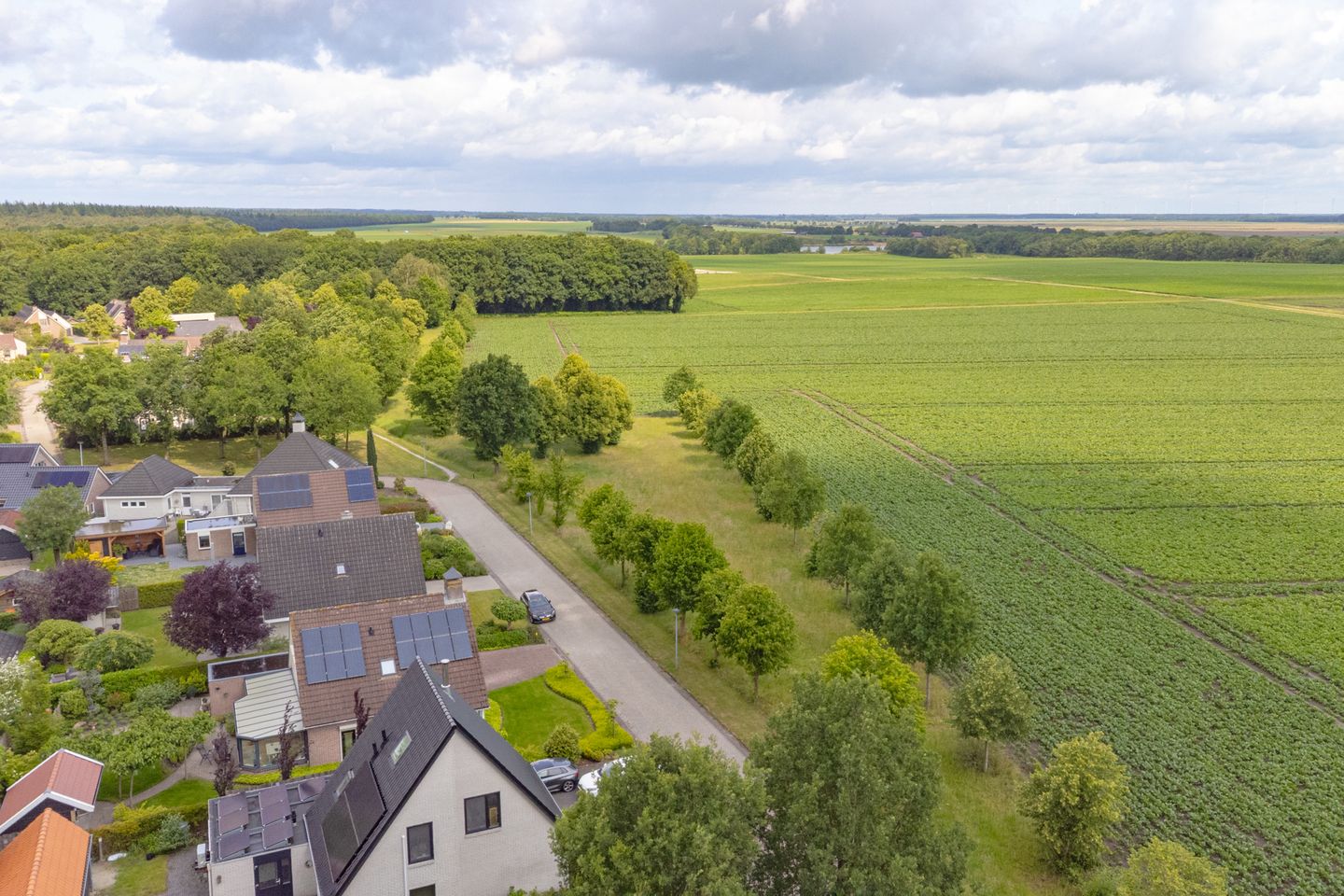 Foto 4 van Taxuslaan 25