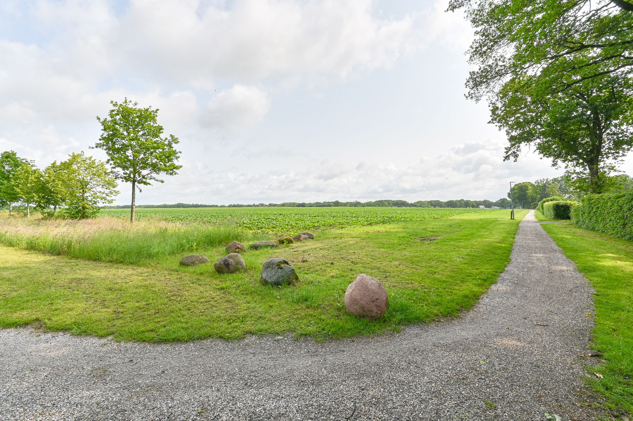 Foto 9 van Taxuslaan 25