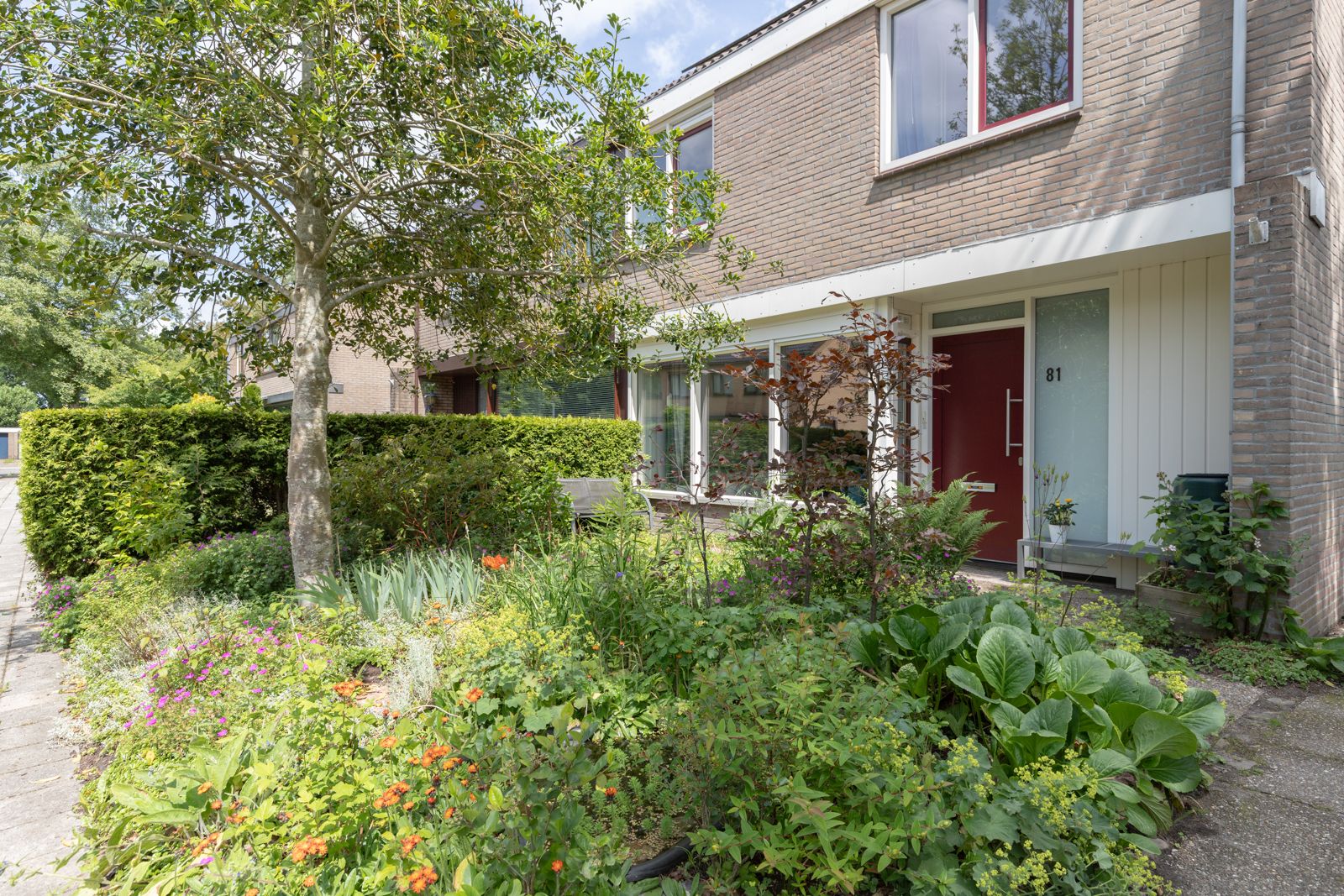 Photo 3 of De Bongerd 81