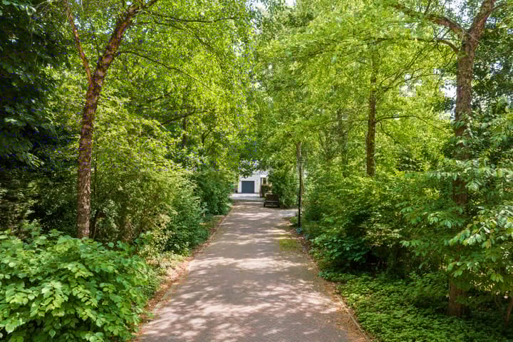 Foto 2 van Everwijnpark 11