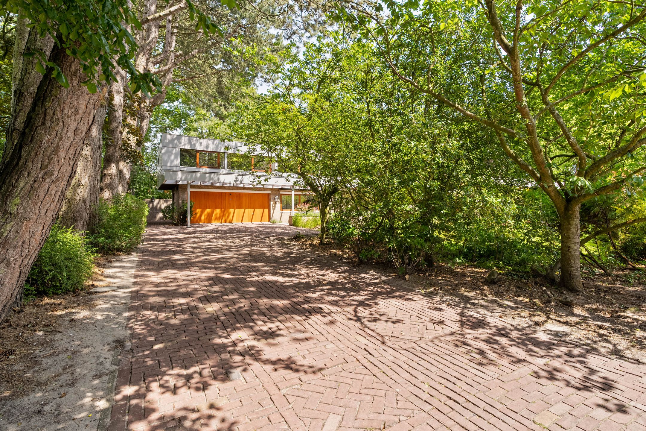 Foto 45 van Everwijnpark 11