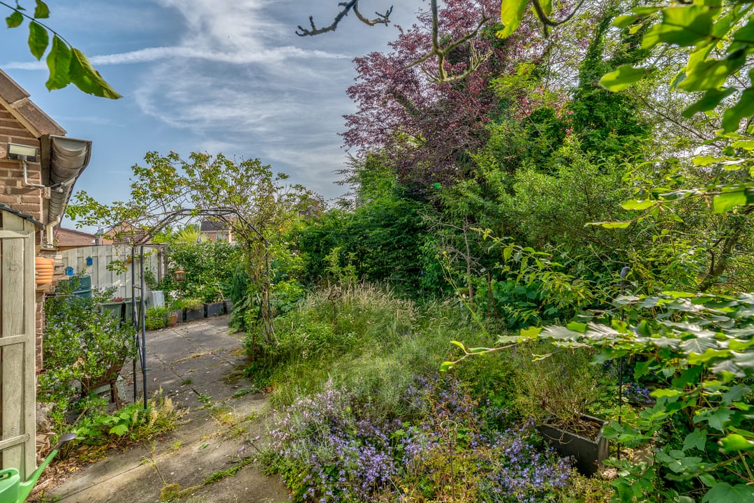 Foto 13 van Max Havelaarburg 13