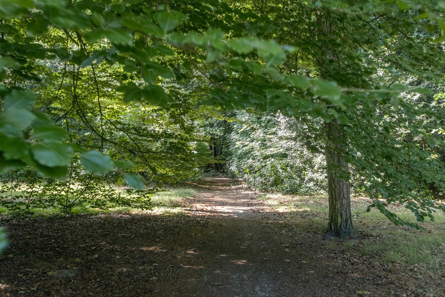 Foto 40 van Zwartvenseweg 84