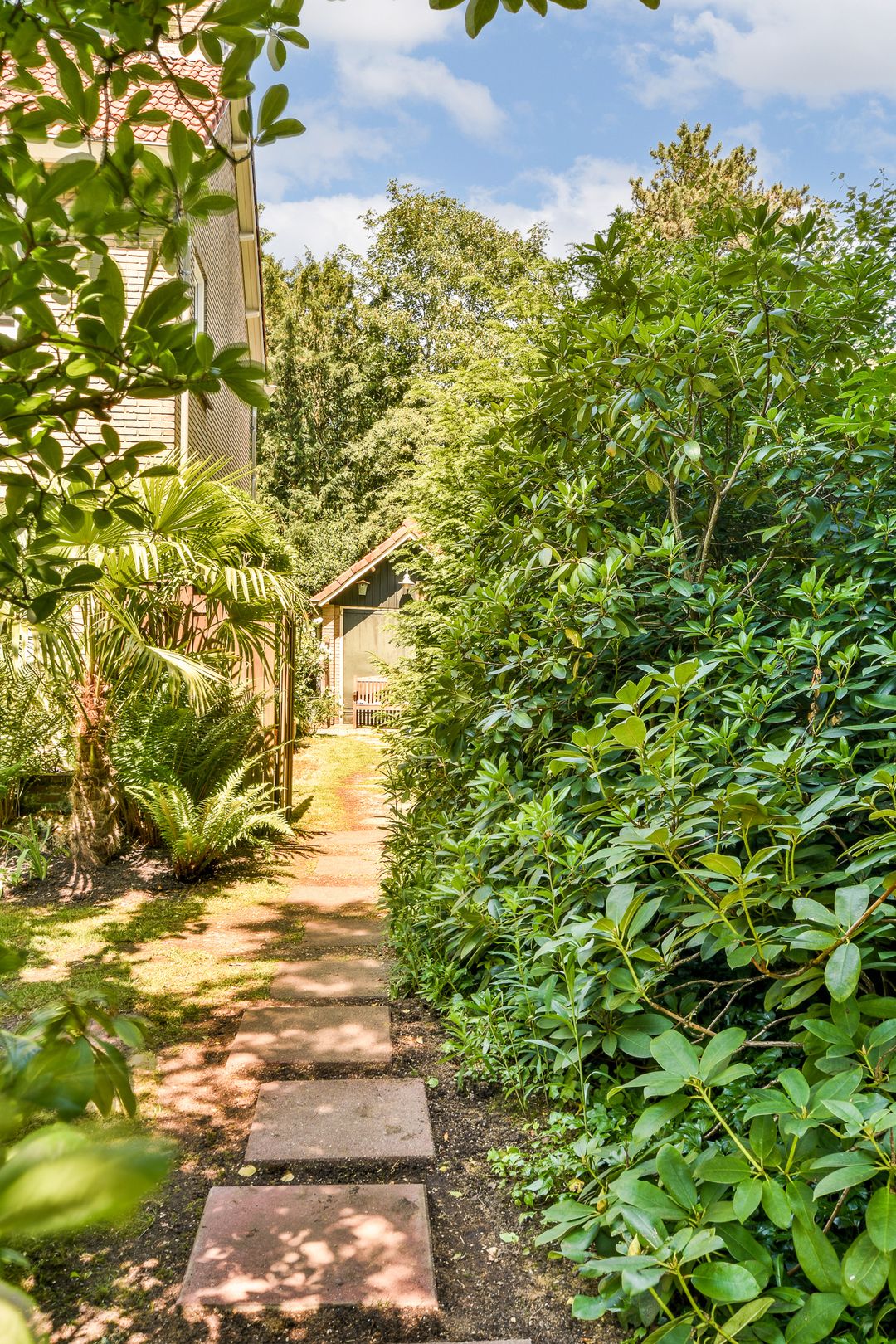 Foto 11 van Tolakkerweg 38