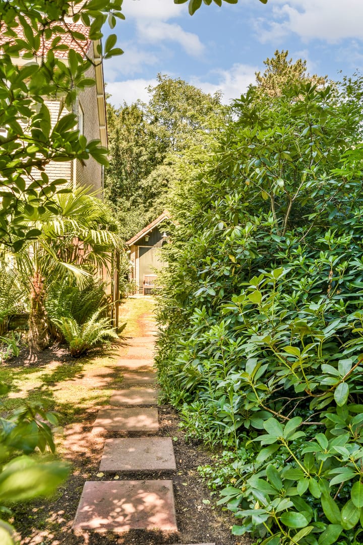 Foto 11 van Tolakkerweg 38