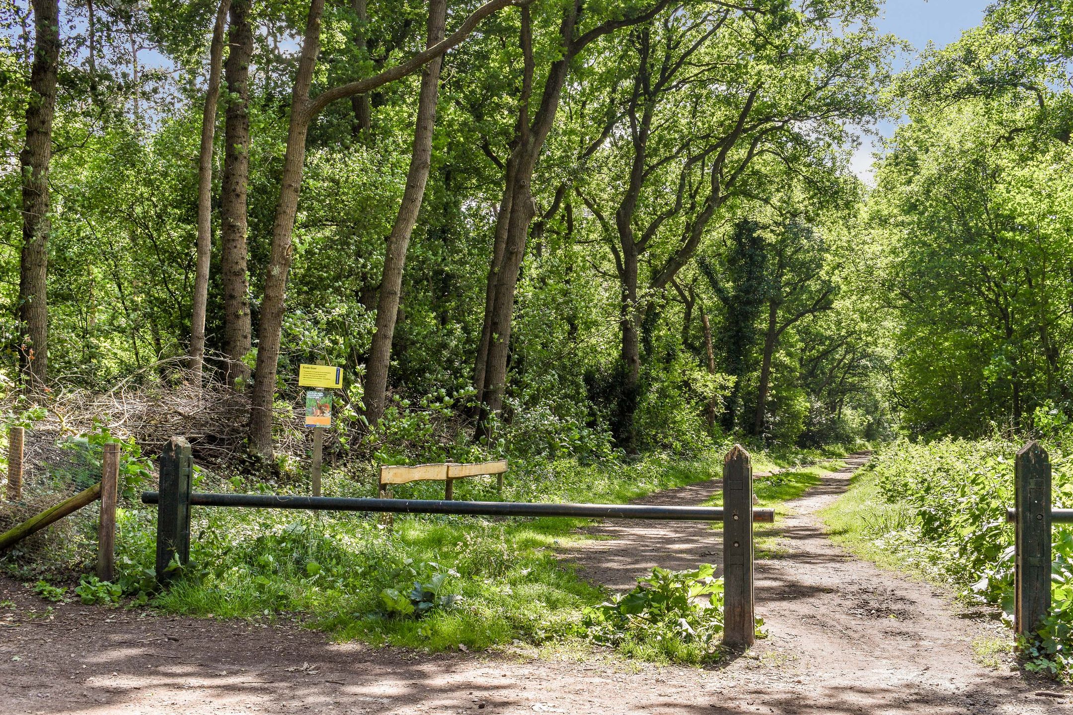 Foto 27 van Tolakkerweg 38