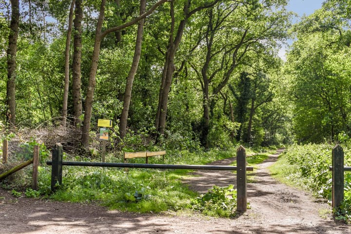 Foto 27 van Tolakkerweg 38