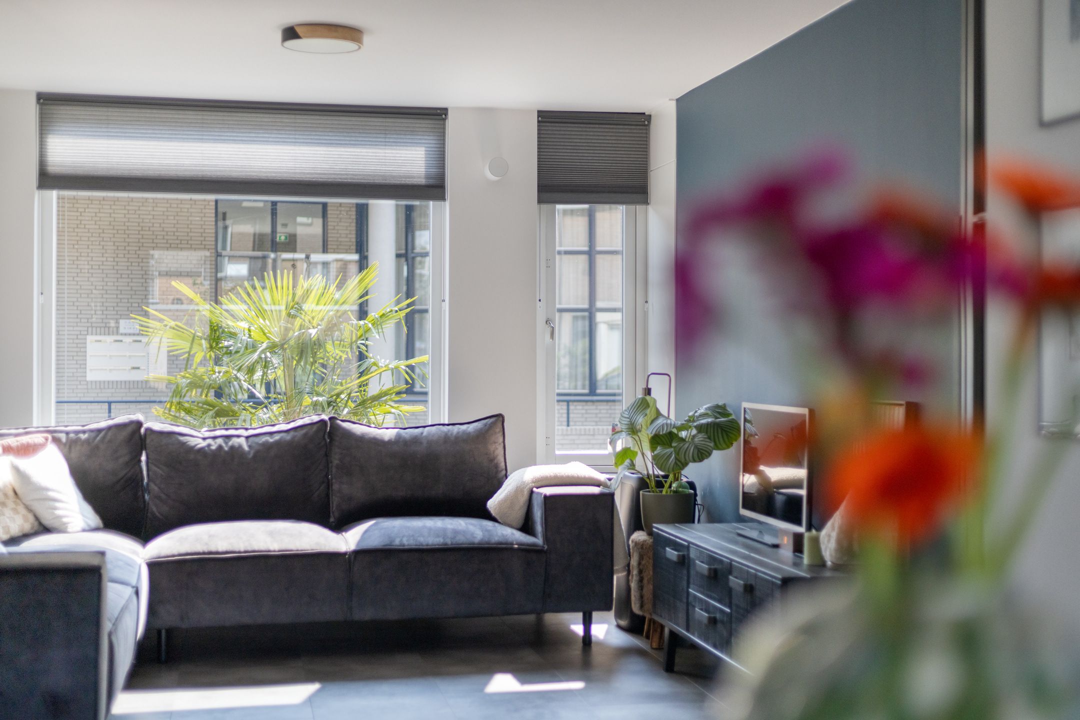 Foto 12 van Raadhuispark 20