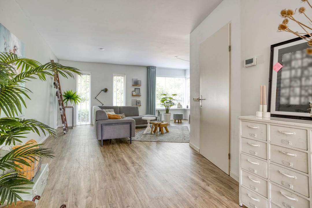 Photo 8 of Jacob van Ruysdael 9