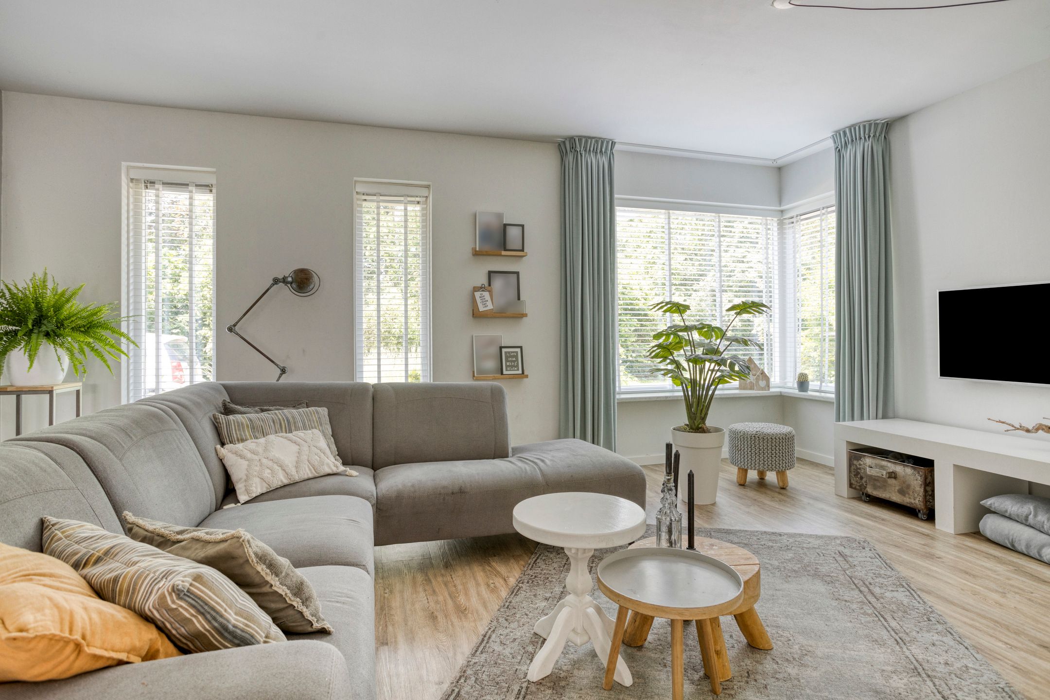 Photo 9 of Jacob van Ruysdael 9