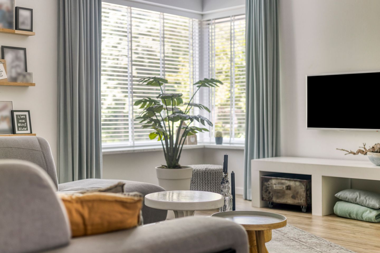 Photo 20 of Jacob van Ruysdael 9