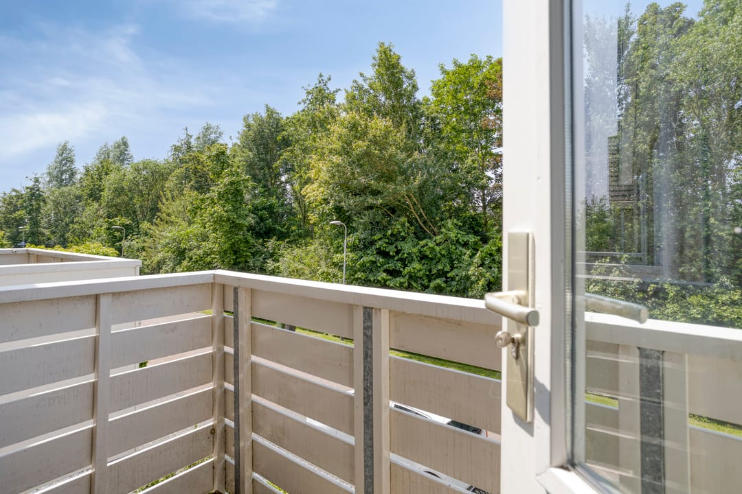 Photo 32 of Jacob van Ruysdael 9