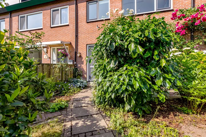 Foto 42 van 't Haantje 6