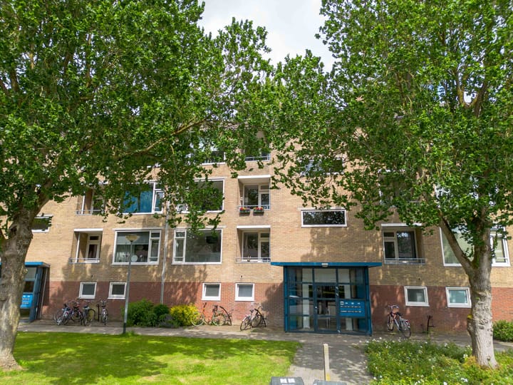 Foto 1 van Dierenriemstraat 31