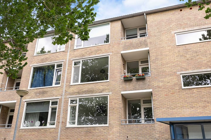 Foto 5 van Dierenriemstraat 31