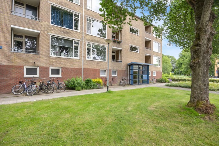 Foto 6 van Dierenriemstraat 31